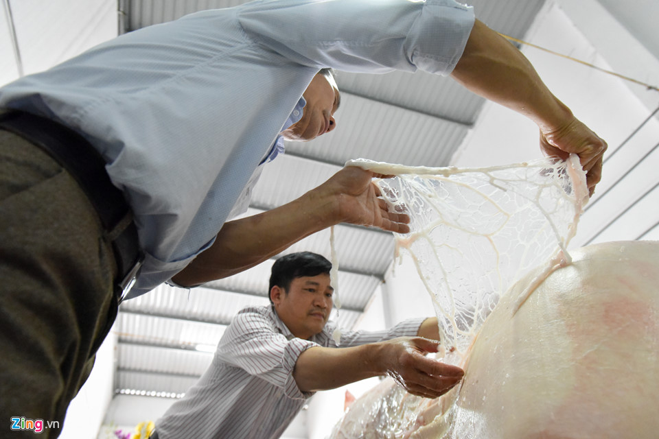 Ông lợn ngày ăn hoa quả, đêm ngủ mắc màn ở hội rước La Phù